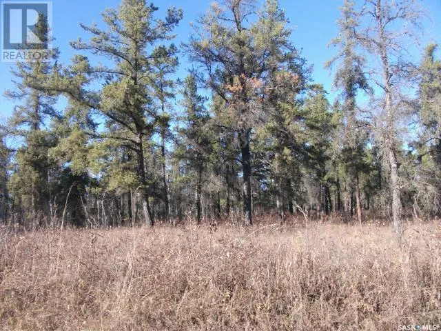 Unknown for rent: Regional Park Lot 5-3, Hudson Bay Rm No. 394, Saskatchewan S0E 0Y0