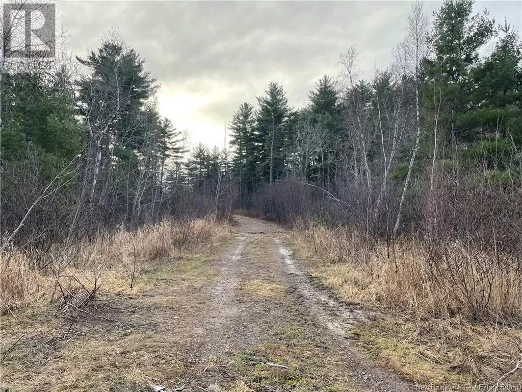 Route 105, Youngs Cove, New Brunswick E4C 2C2