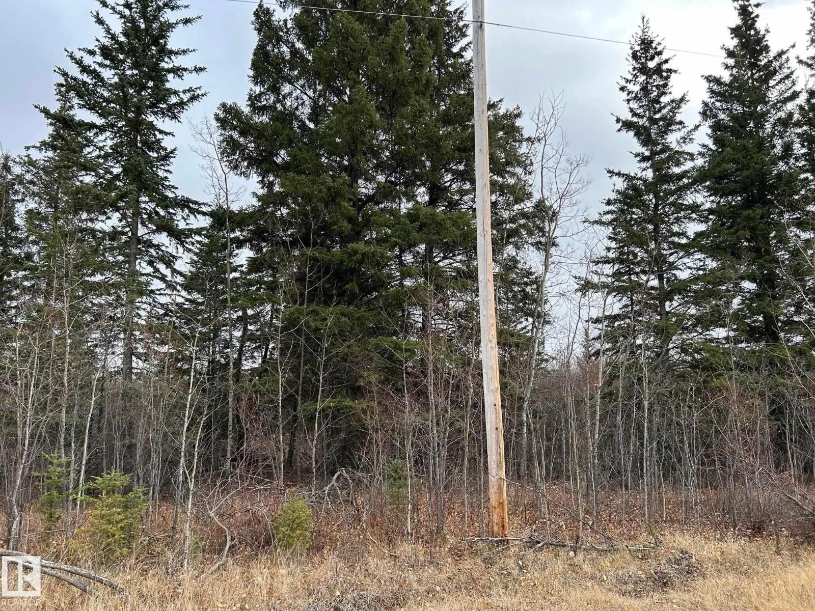 No Building for rent: Rr 210 Twp Rd 605, Rural Thorhild County, Alberta T0A 0A0