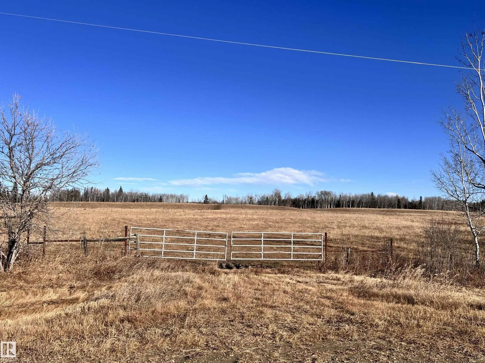 No Building for rent: Rr 51a Twp Rd 484, Rural Brazeau County, Alberta T0C 0W0
