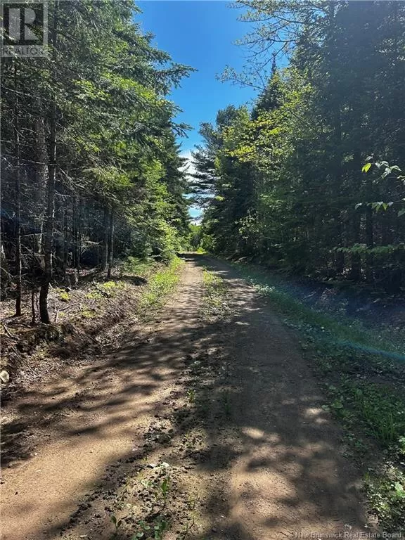 Rte 10, Kierstead Mountain, New Brunswick E5P 1T8