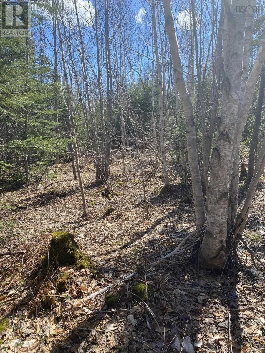 Scotsville Road, Kenloch, Nova Scotia B0E 1N0