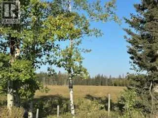 Se 3-33-5 W5, Rural Mountain View County, Alberta T0M 1X0