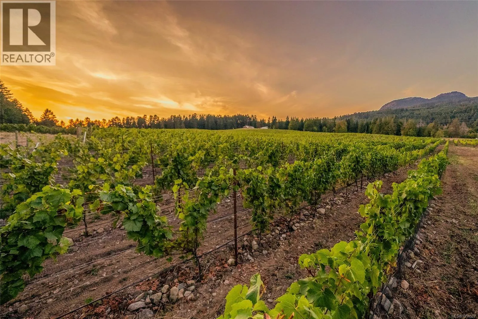 Sl1 North Rd, Duncan, British Columbia V9L 6K9