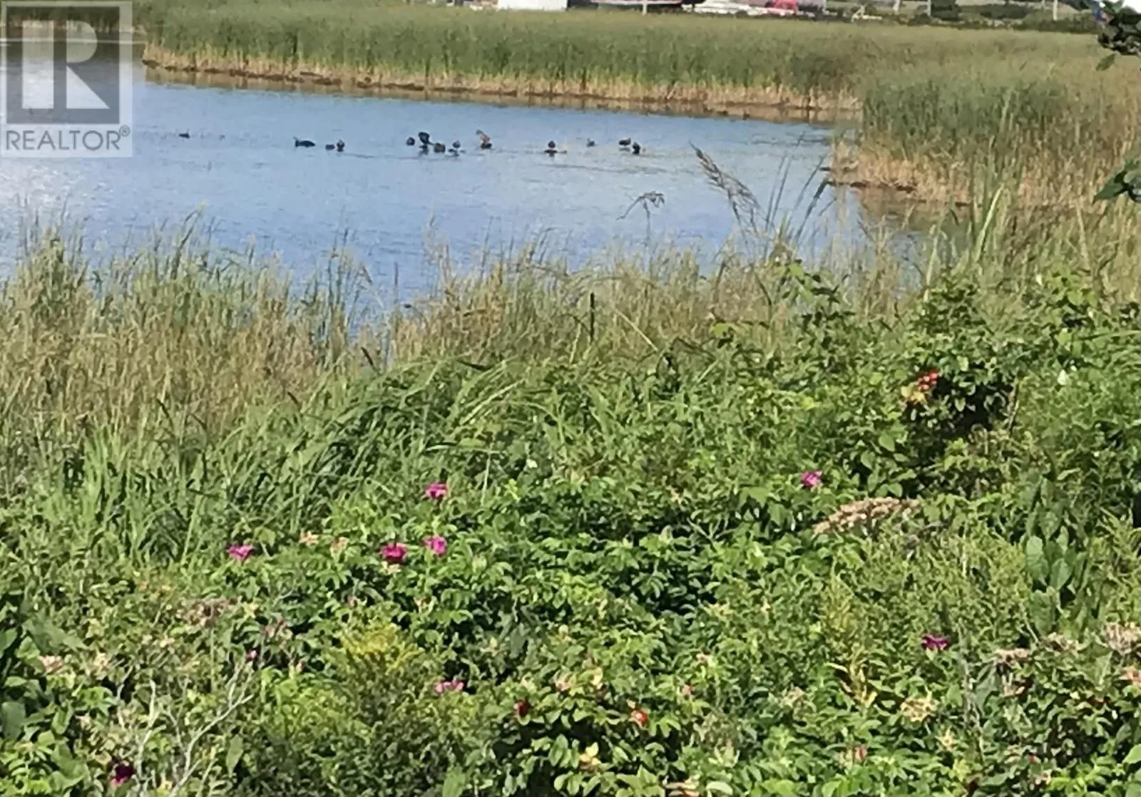 Solomon Lane, Meteghan River, Nova Scotia B0W 2L0