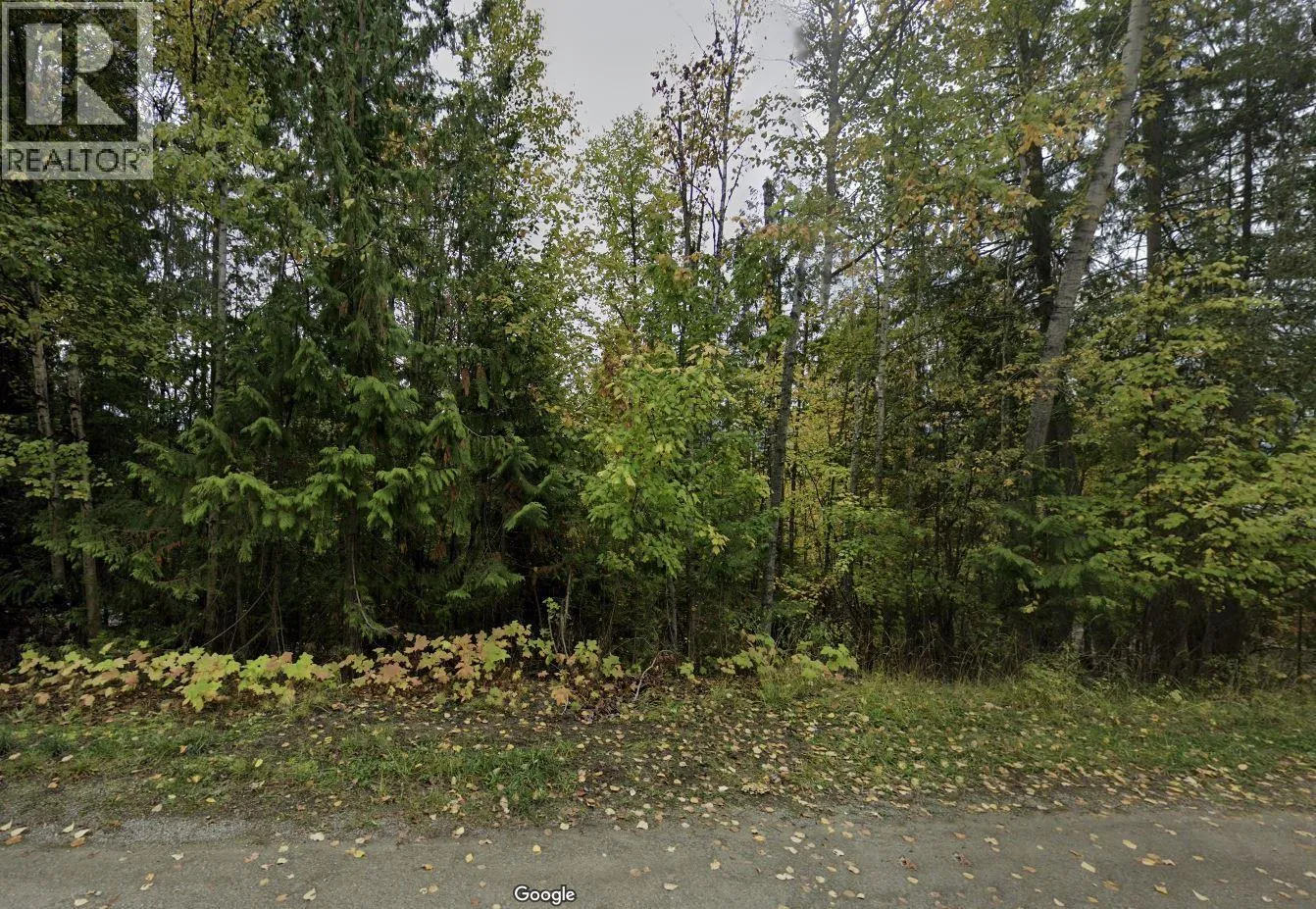 Other for rent: Stampede Trail Lot# 231, Anglemont, British Columbia V0E 1M8