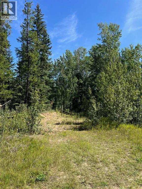 Sw-21-70-6-w6, Rural Grande Prairie No. 1, County of, Alberta T8W 5K1