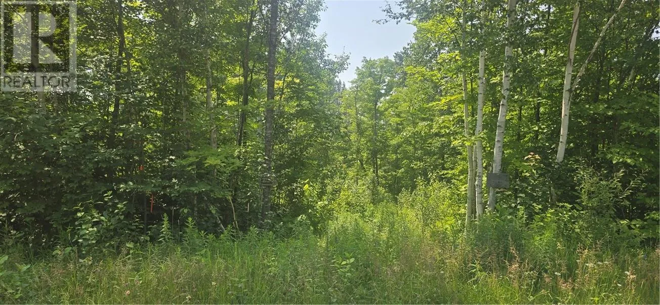 Tbd Forest Hill Road, Monetville, Ontario P0M 2K0