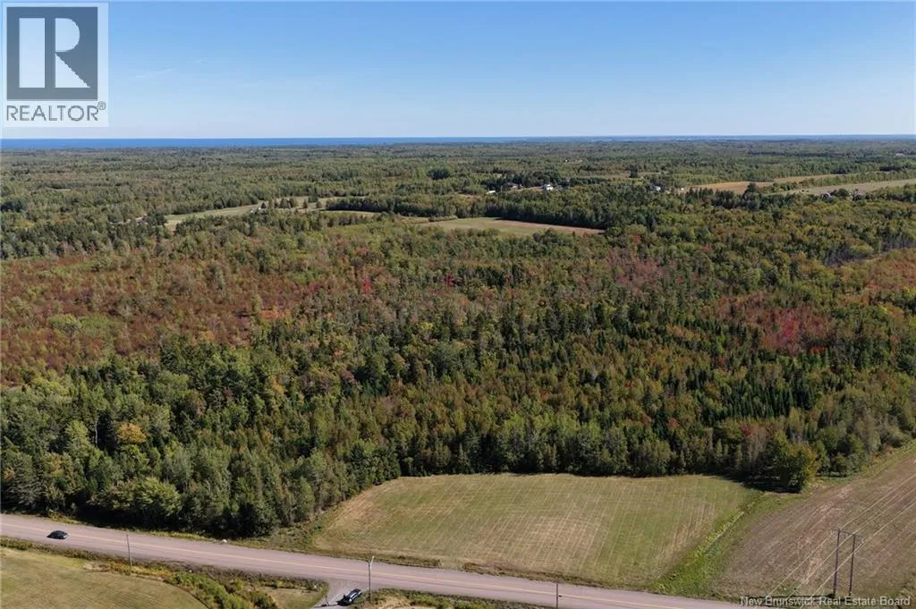 Tbd Route 115, McKees Mills, New Brunswick E4V 2V8