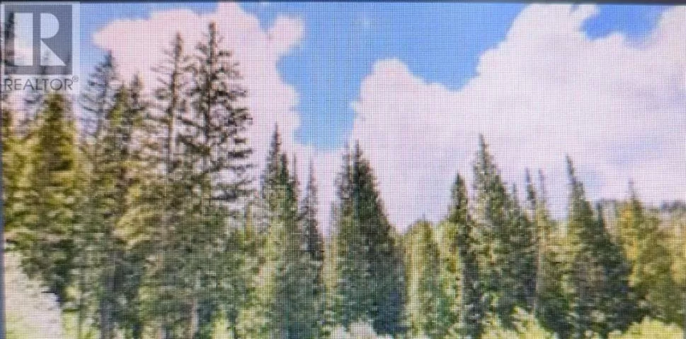 Terrace Road, Quesnel, British Columbia V2J 6T4