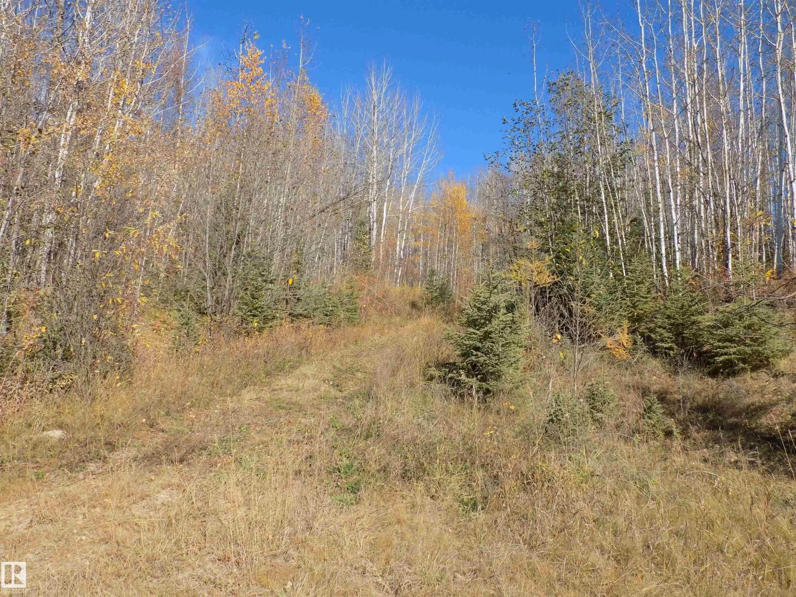 No Building for rent: Twp 463a Rd, Rural Wetaskiwin County, Alberta T0C 2V0