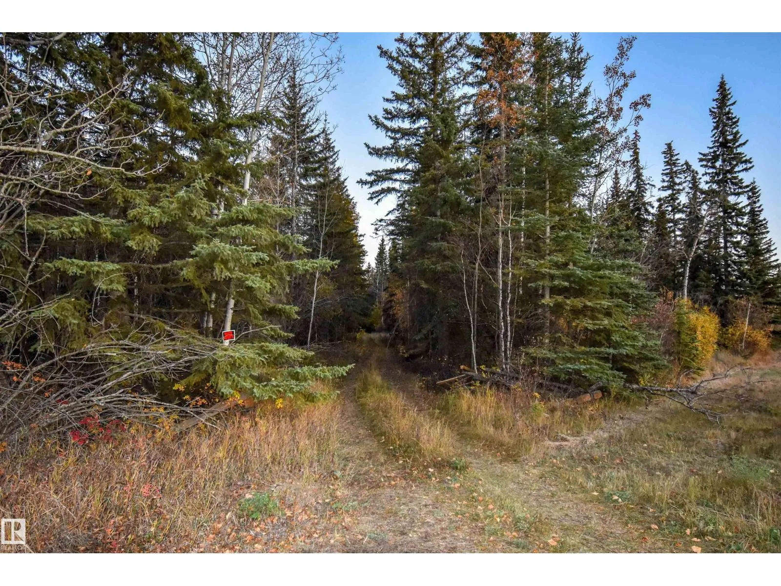 No Building for rent: Twp Rd 625 And Hwy 63, Rural Thorhild County, Alberta T0A 2P0