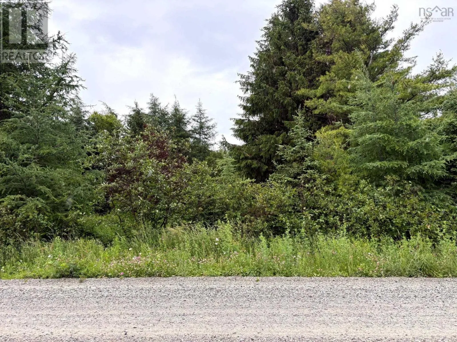 Upper Southwest Mabou Road, Glencoe Station, Nova Scotia B0E 2W0