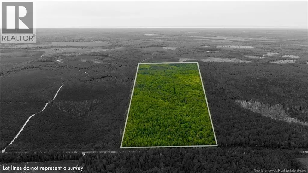 Vacant Land Route 363, Hacheyville, New Brunswick E8M 1M9
