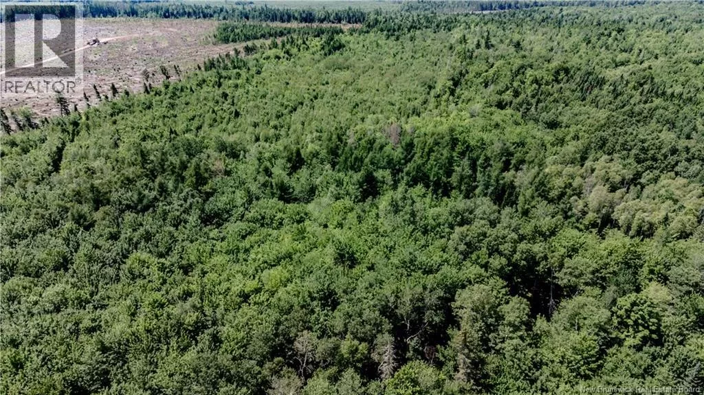 Vacant Lot Ch Nw Aldouane River Rd, Saint-Charles, New Brunswick E4W 0A8
