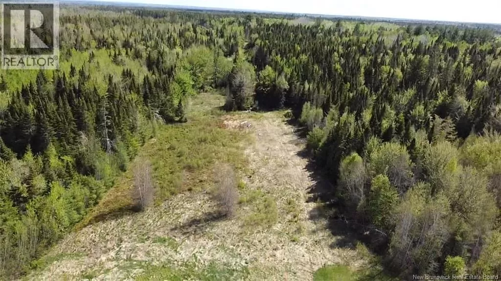 Vacant Lot Upper Salmon Creek, Upper Salmon Creek, New Brunswick E4A 1J2