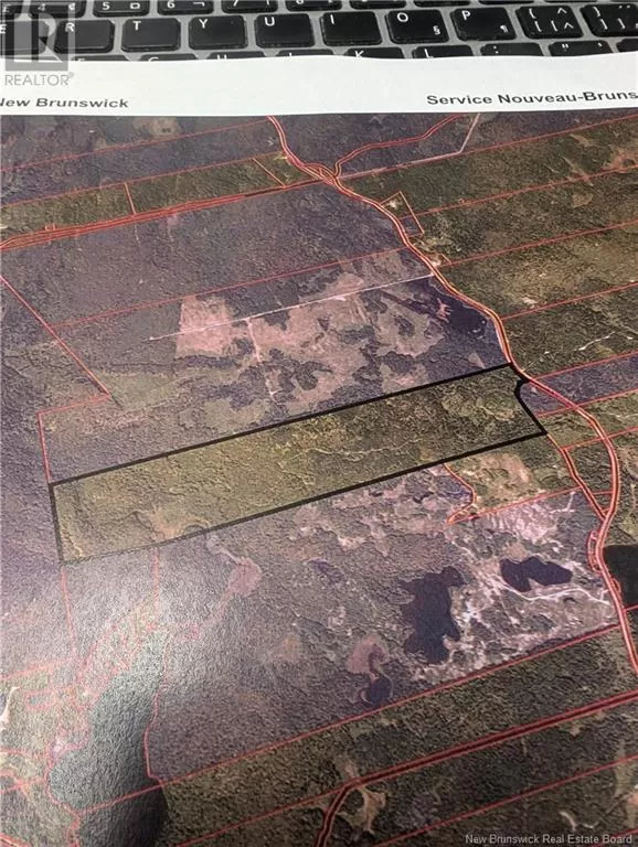 Woodlot 111 Route, St. Martins, New Brunswick E5R 2B2