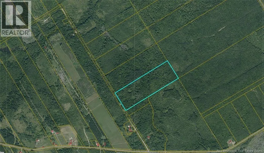 Woodlot Goguen Road, Sweeneyville, New Brunswick E4T 3N4