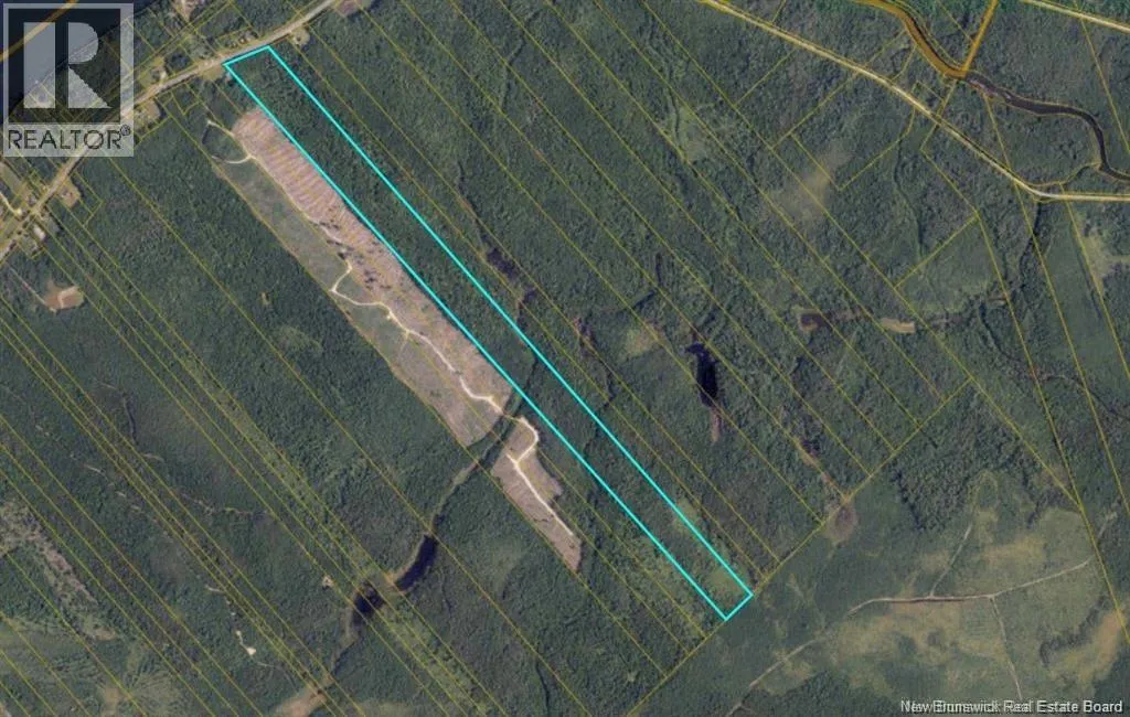 Woodlot Route 118, Chelmsford, New Brunswick E9E 2H2