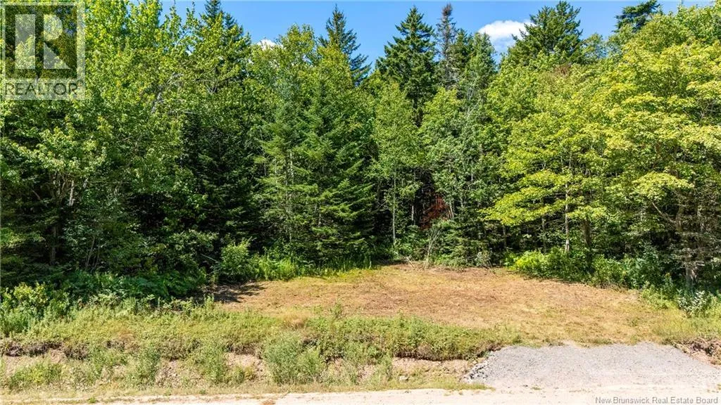 Woodlot Route 935, Rockport, New Brunswick E4K 3N1