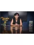 Komal Usman,Sotheby's International Realty Canada