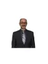 Afshin Ghajar Davalu,Homelife Eagle Realty Inc.