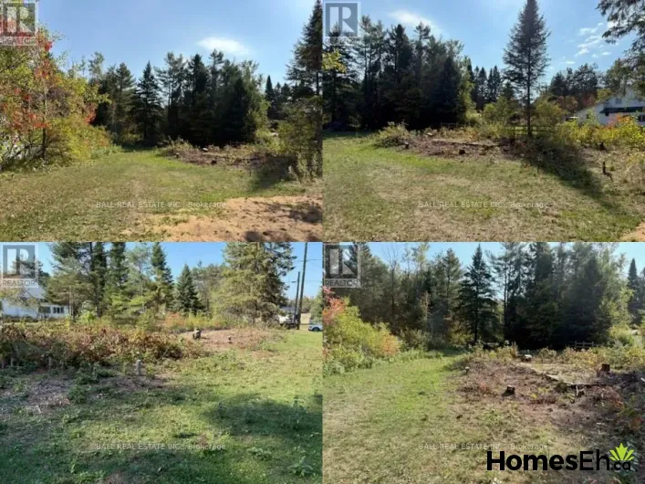 0 THE AVENUE, Kawartha Lakes