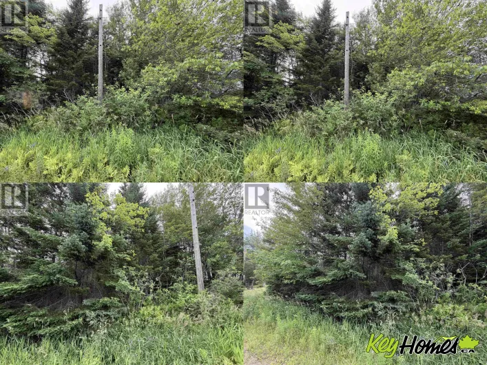 Lot 14 Highway 2, Alton