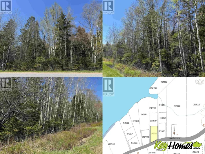Lot 4 Highway 509, Lower Maccan