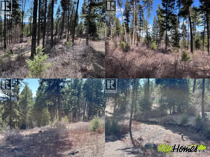 Other for sale: Lot 4 Hulme Creek Road, Rock Creek