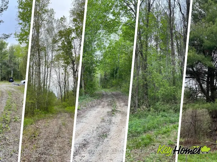. RUTHERFORD ROAD, Alnwick/Haldimand