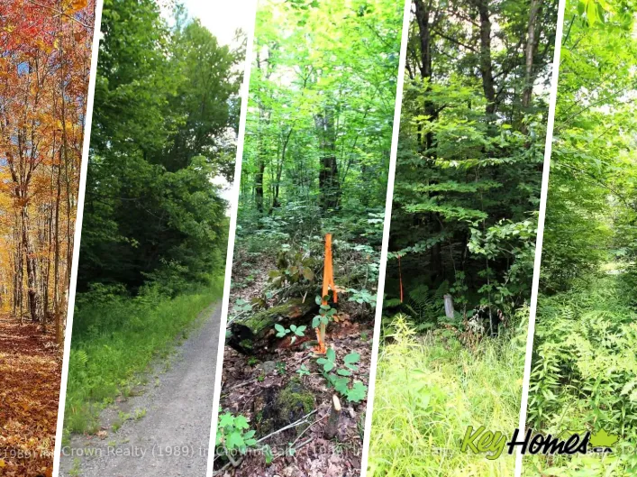 0 20TH SIDE ROAD, Parry Sound Remote Area