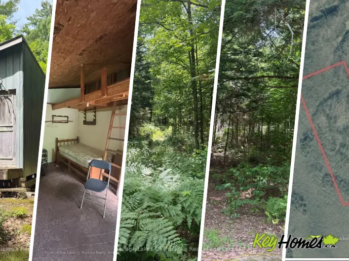 House for sale: 0 AXE LAKE ROAD, McMurrich/Monteith