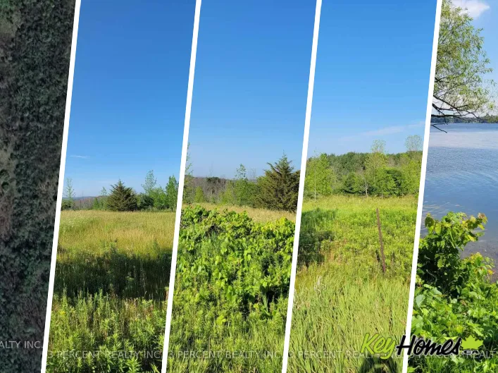 0 CURTIS POINT ROAD, Alnwick/Haldimand