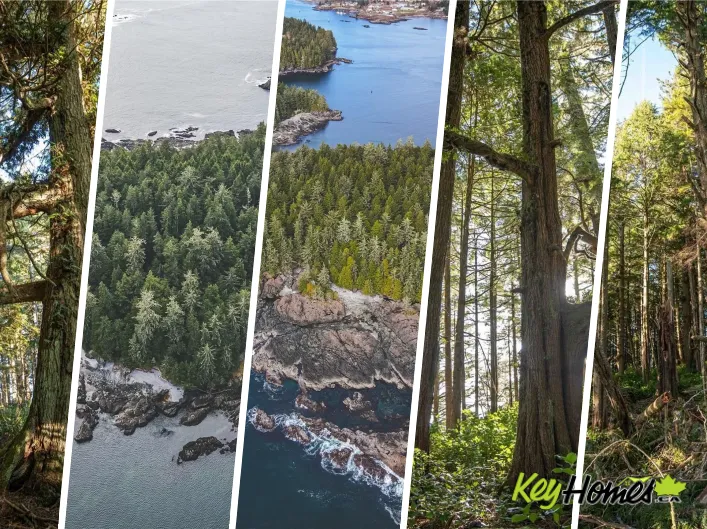0 Francis Island, Ucluelet