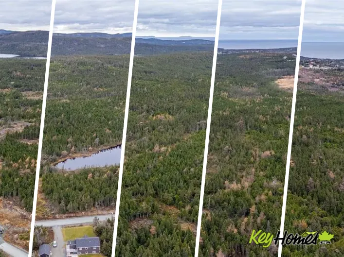 0 Medalsis Pond Road, Flatrock
