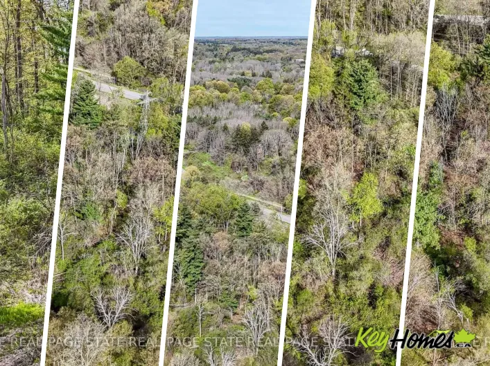 0 MINERAL SPRINGS ROAD, Hamilton