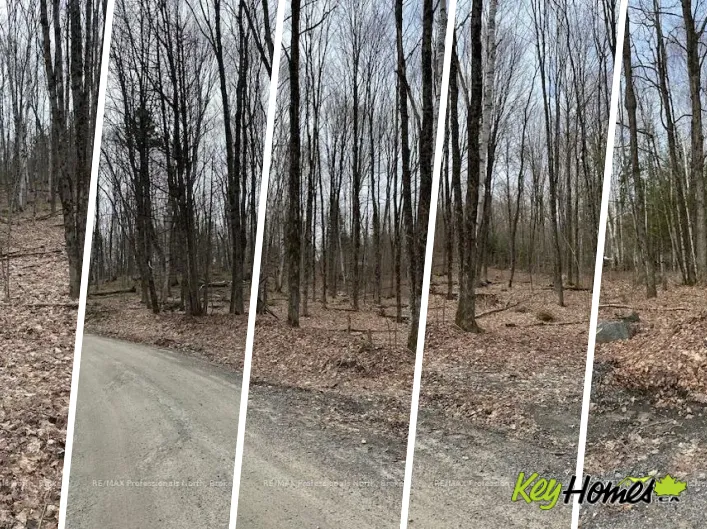 0 PROVIDENCE DRIVE, Algonquin Highlands