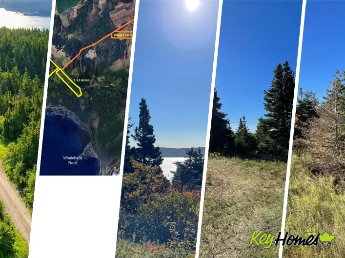 0 WADES FARM Road, Flatrock