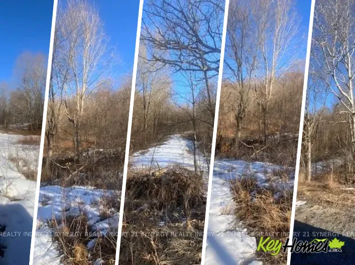 00 LOT 1 COUNTY  RD 10 ROAD, Rideau Lakes