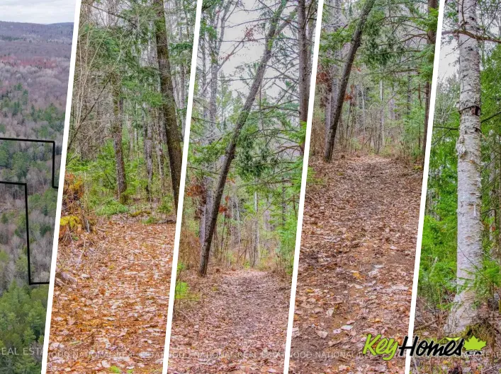 00 LOWER CRAIGMONT ROAD, Madawaska Valley