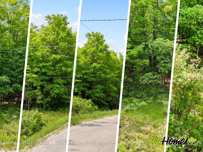 00 MAPLE STREET, Lanark Highlands