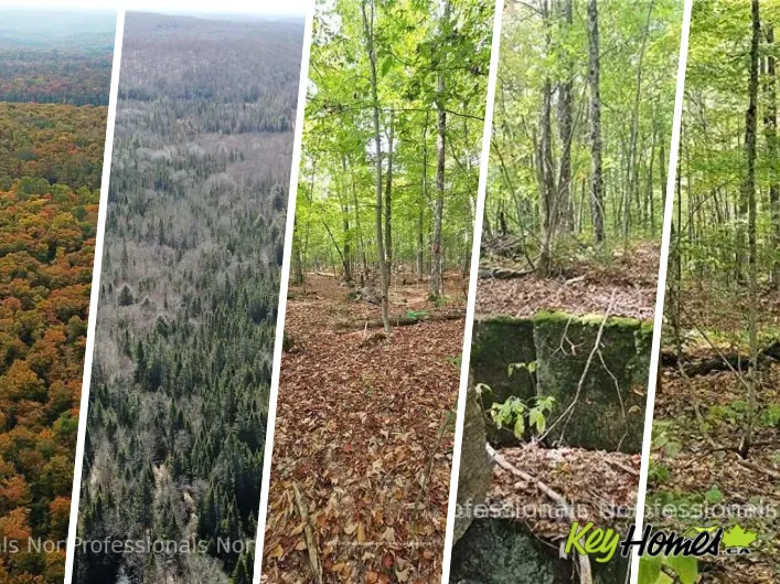 00 SOUTH HORN LAKE ROAD, Magnetawan