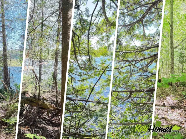 00 STEIGER ROAD, Frontenac