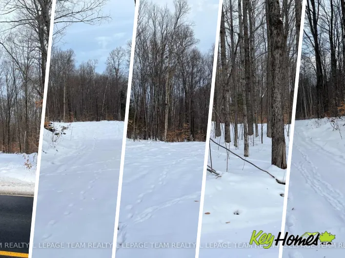 01 SIBERIA ROAD, Madawaska Valley