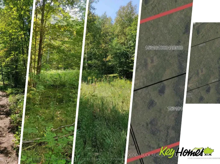 0EAST1 ROAD ALLOWANCE ROAD, Havelock-Belmont-Methuen