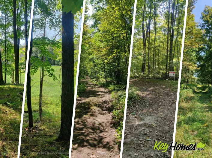 0EAST2 ROAD ALLOWANCE ROAD, Havelock-Belmont-Methuen