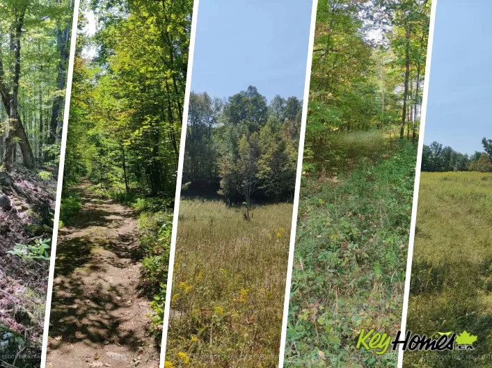 0WEST ROAD ALLOWANCE ROAD, Havelock-Belmont-Methuen
