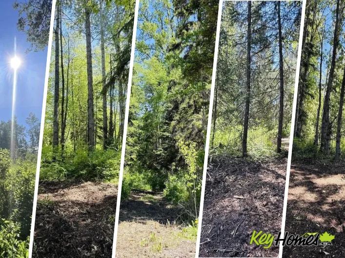 1 3000 DAHLIE ROAD, Smithers