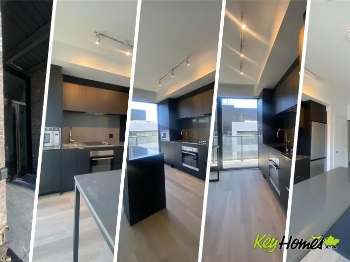 Apartment for rent: 1 JARVIS Street Unit# 1518, Hamilton